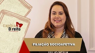 Explica Direito Filiação Socioafetiva  2019 [upl. by Vaclava]