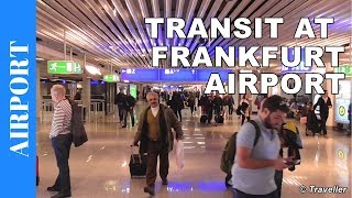 TRANSIT WALK AT FRANKFURT Airport FRA Terminal 1  Connection Flight Transfer Arriving amp Departing [upl. by Megen229]